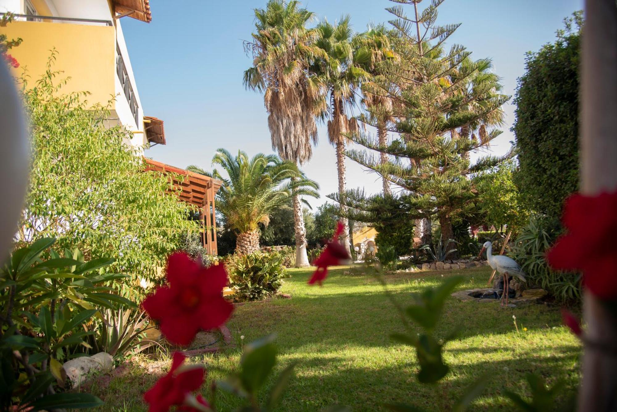Kos Island Studios Кефалос Экстерьер фото